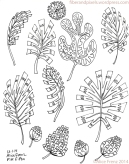 pattern-motif-sketchbook-leaves-buds-alice-frenz-ink-2014-12-01-003