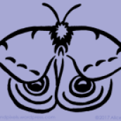 appalachian-spirit-animals-io-moth-alice-frenz-pattern-design-450x360